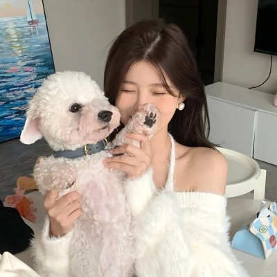 蒙面达虎